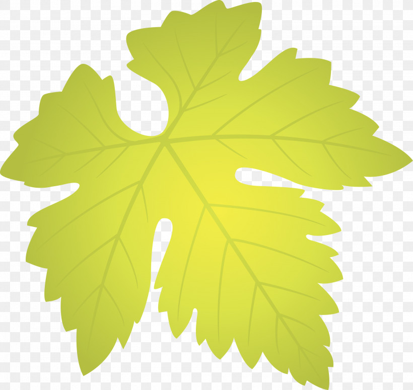 Grapes Leaf Leaf, PNG, 3000x2836px, Grapes Leaf, Black Maple, Flower, Grape Leaves, Green Download Free