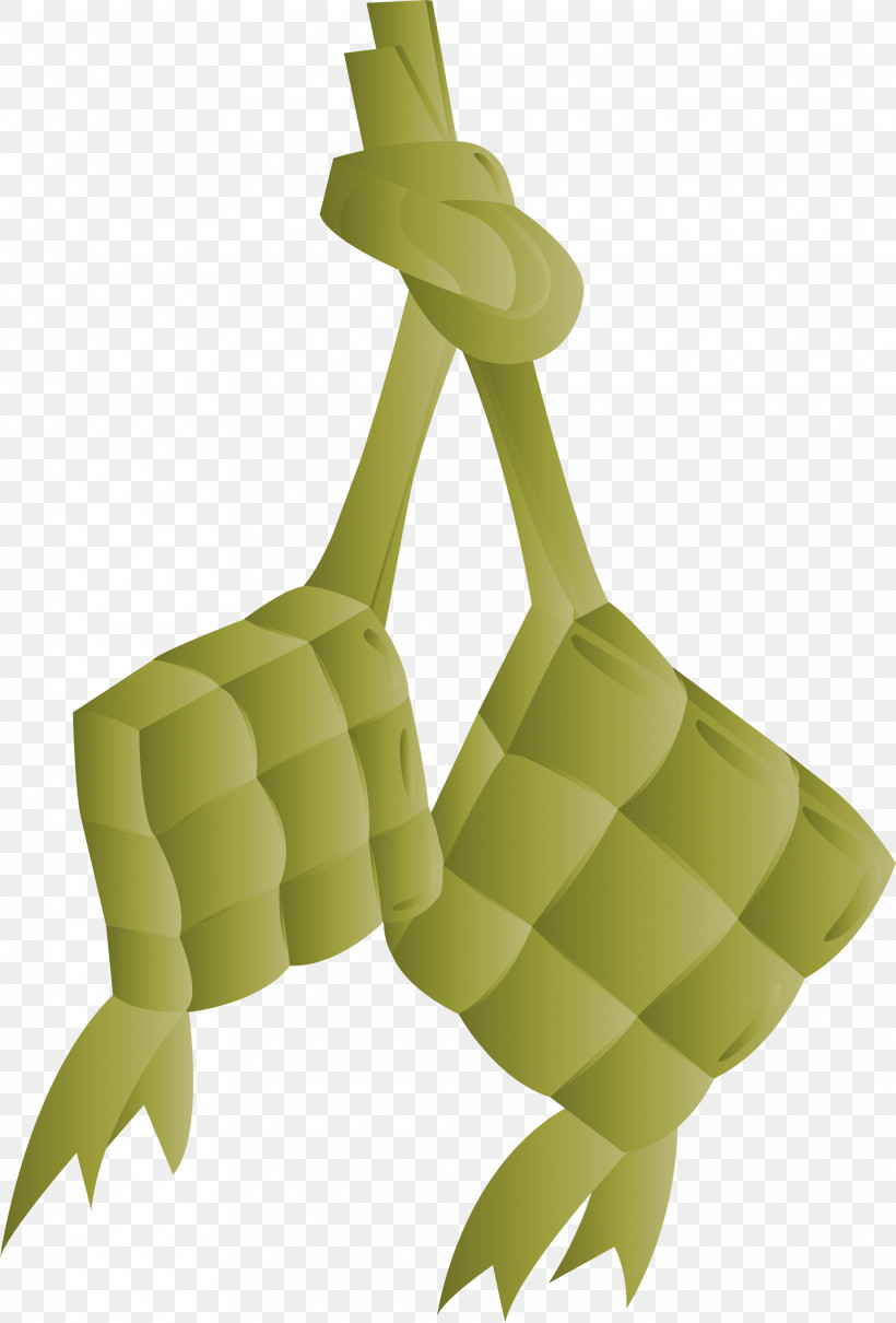 Ketupat, PNG, 2032x3000px, Ketupat, Biology, Branch, Common Ivy, Grasses Download Free