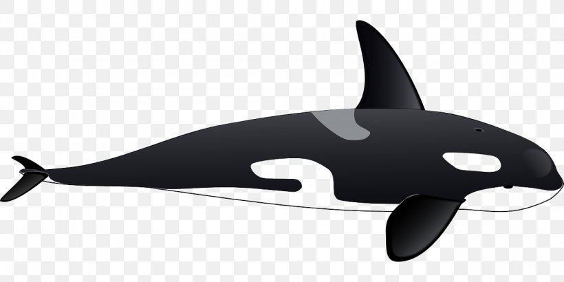 Killer Whale Dolphin Clip Art, PNG, 1280x640px, Killer Whale, Black, Black And White, Blue Whale, Cetacea Download Free