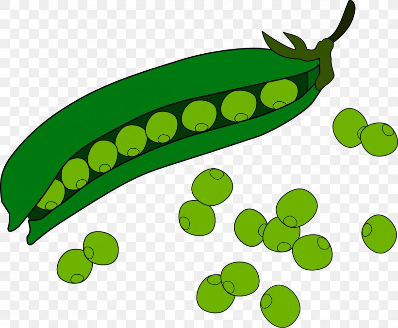 Pea Fruit Clip Art, PNG, 1171x967px, Pea, Bean, Food, Fruit, Grass Download Free