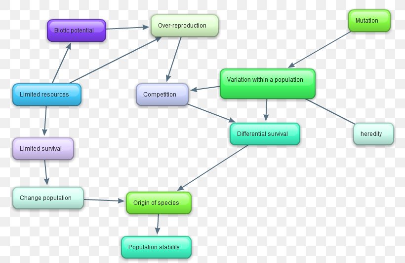 Species Concept Map - Almuhja.com