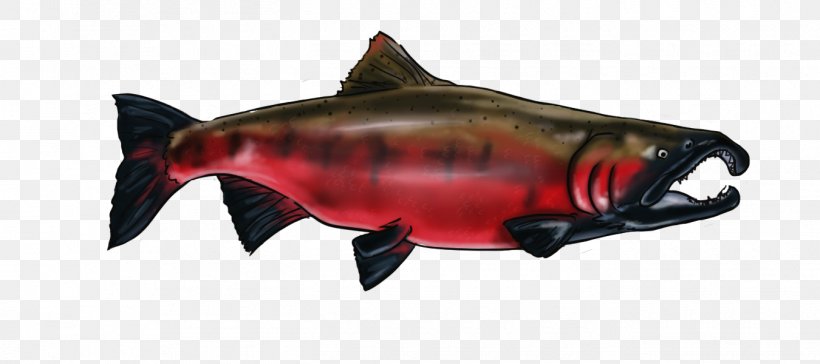 Coho Salmon 09777 Squaliform Sharks Animal, PNG, 1350x600px, Coho Salmon, Animal, Animal Figure, Bony Fish, Coho Download Free