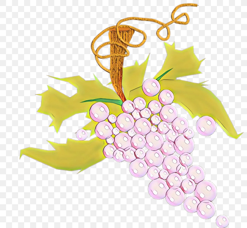 Grape Grapevine Family Leaf Vitis Plant, PNG, 800x759px, Grape, Flower, Fruit, Grape Leaves, Grapevine Family Download Free