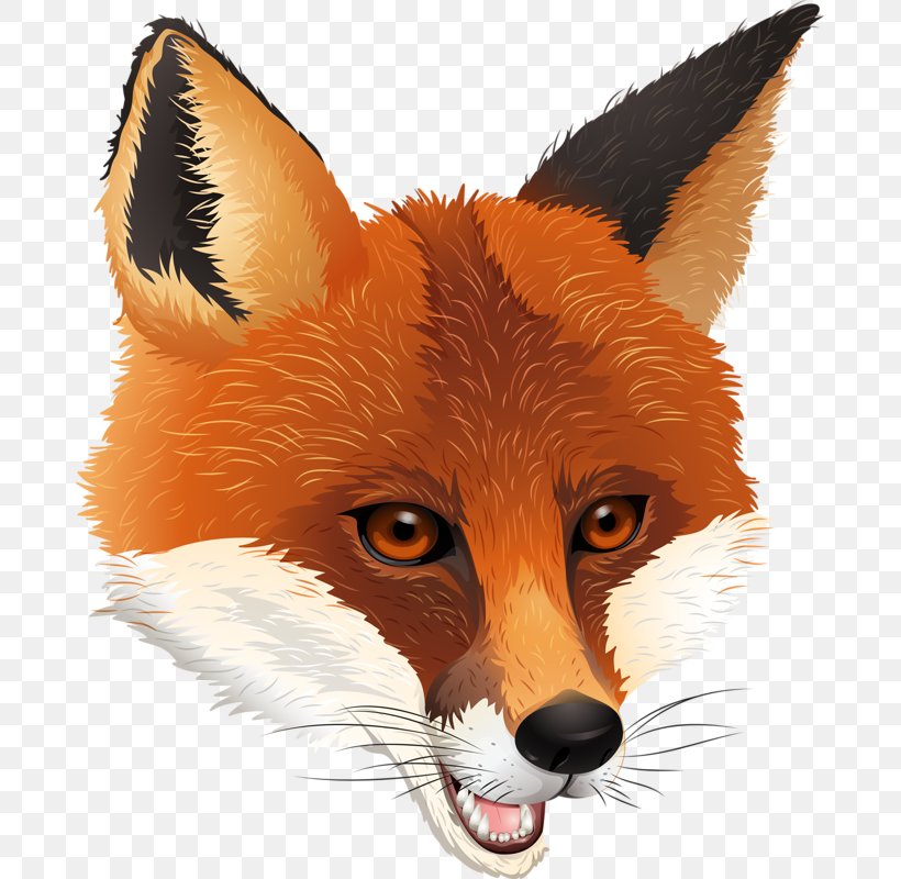 Fox Royalty-free Clip Art, PNG, 681x800px, Fox, Art, Carnivoran, Dog Like Mammal, Drawing Download Free