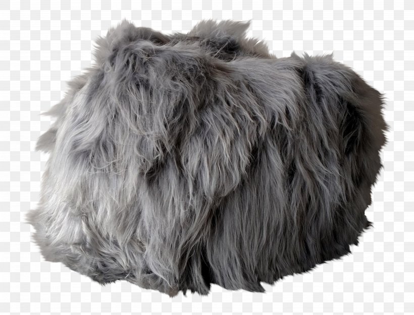 Fur Snout Grey, PNG, 4102x3130px, Fur, Dog Like Mammal, Fur Clothing, Grey, Shoe Download Free