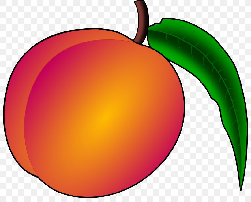 Peach Clip Art, PNG, 800x661px, Peach, Apple, Art, Clip Art, Color Download Free