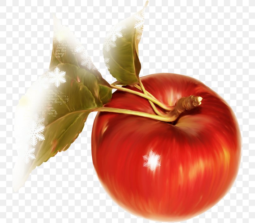 Tomato Toast Apple, PNG, 741x715px, Tomato, Apple, Auglis, Bush Tomato, Food Download Free