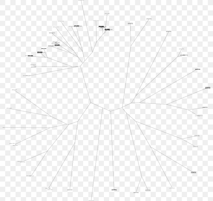 Tree Flowering Plant Line Art Point, PNG, 800x775px, Tree, Area, Black And White, Drawing, Flower Download Free