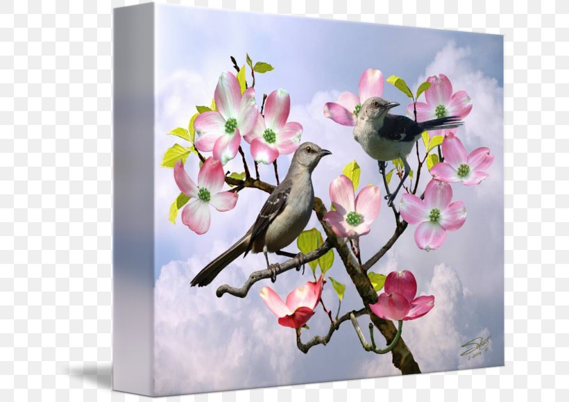 Cherry Blossom Floral Design Petal, PNG, 650x579px, Blossom, Bird, Branch, Cherry, Cherry Blossom Download Free