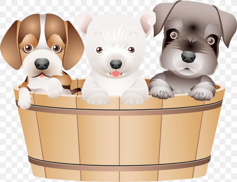 Puppy Coton De Tulear Pug Chihuahua, PNG, 4417x3391px, Puppy, Breed, Carnivoran, Chihuahua, Companion Dog Download Free