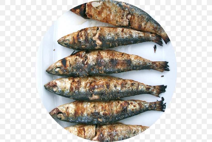 Sardine Spanish Cuisine Madrid Clam Portuguese Cuisine, PNG, 550x550px, Sardine, Anchovy Food, Animal Source Foods, Barbecue, Capelin Download Free