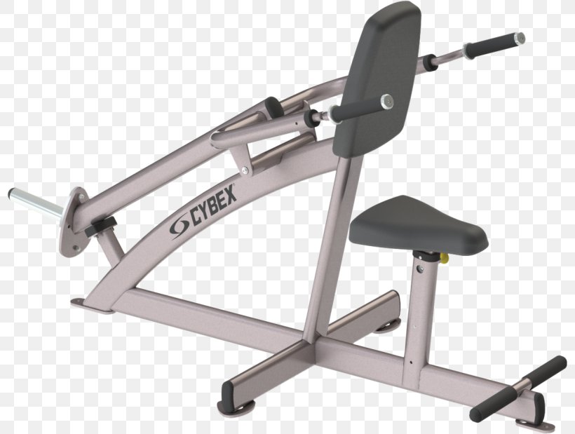 Indoor Rower Exercise Machine Triceps Brachii Muscle Arc Trainer Cybex International, PNG, 800x619px, Indoor Rower, Arc Trainer, Bench, Bench Press, Cybex International Download Free