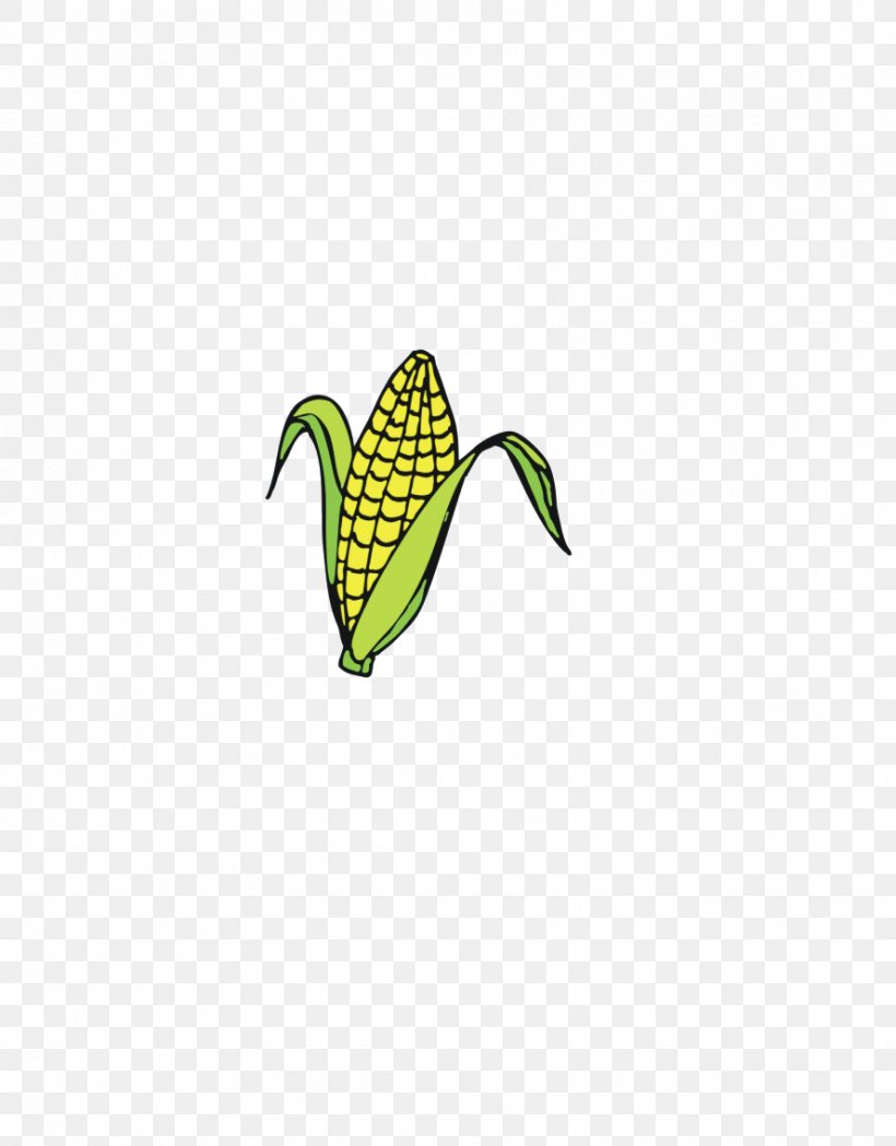 Maize Icon, PNG, 888x1137px, Maize, Brand, Computer, Crop, Food Download Free