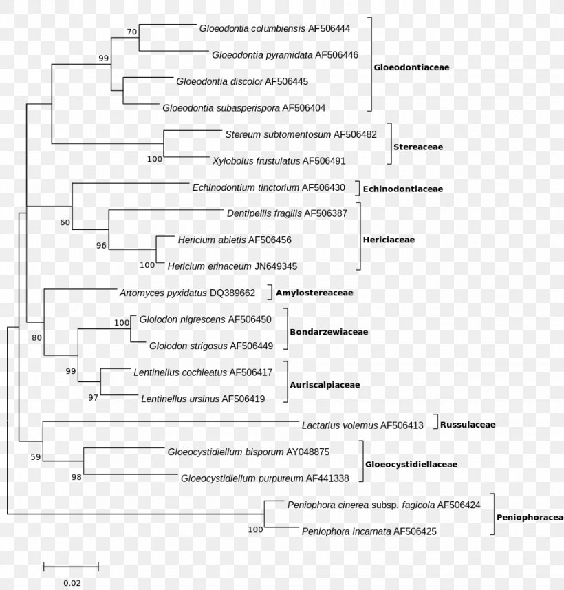 Maximum Likelihood Estimation Phylogenetic Tree Likelihood Function Maxima And Minima Molecular Phylogenetics, PNG, 979x1024px, Watercolor, Cartoon, Flower, Frame, Heart Download Free