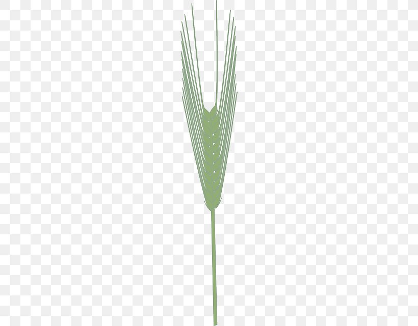 Wheat Cereal Barley Crop Agriculture, PNG, 320x640px, Wheat, Agriculture, Barley, Cereal, Commodity Download Free