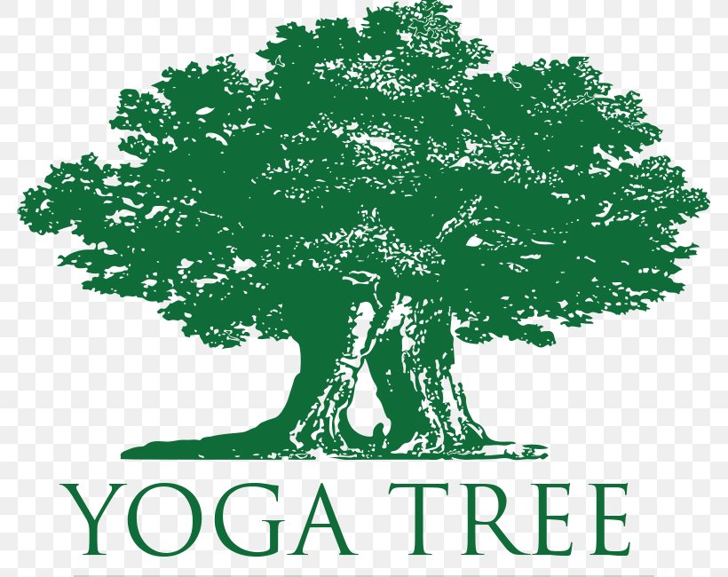 Yoga Tree Castro Yoga Tree Hayes Yoga Tree Valencia Yoga Tree Potrero Hill, PNG, 782x650px, Yoga Tree, Asana, Ashtanga Vinyasa Yoga, Classpass, Grass Download Free