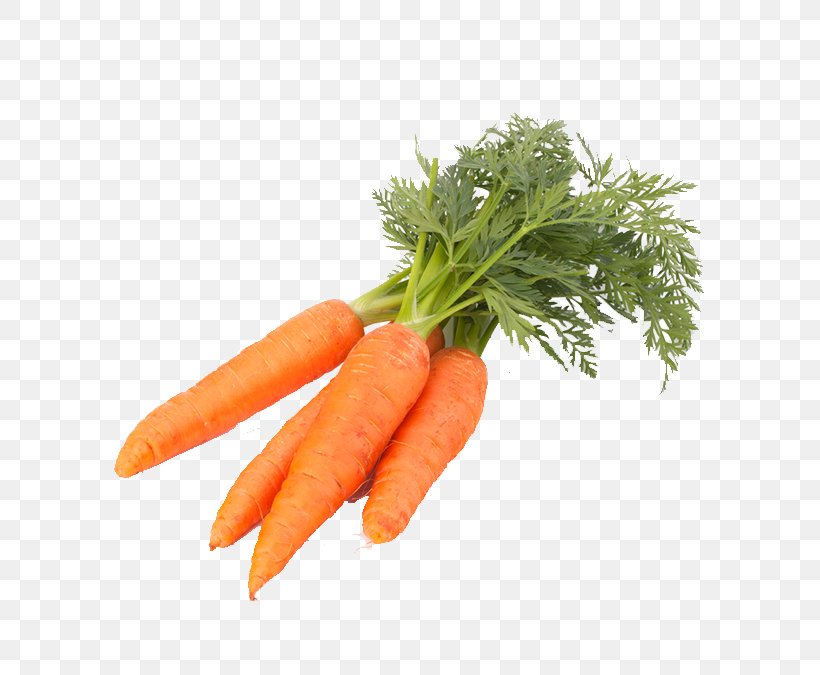 Carrot Vegetable Food, PNG, 685x675px, Carrot, Baby Carrot, Cauliflower, Chinese Cabbage, Daucus Carota Download Free