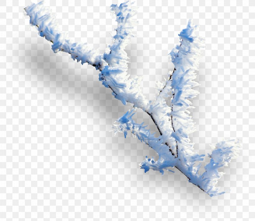 Winter Clip Art, PNG, 2962x2564px, Winter, Branch, Joulukukka, Polyvore, Twig Download Free