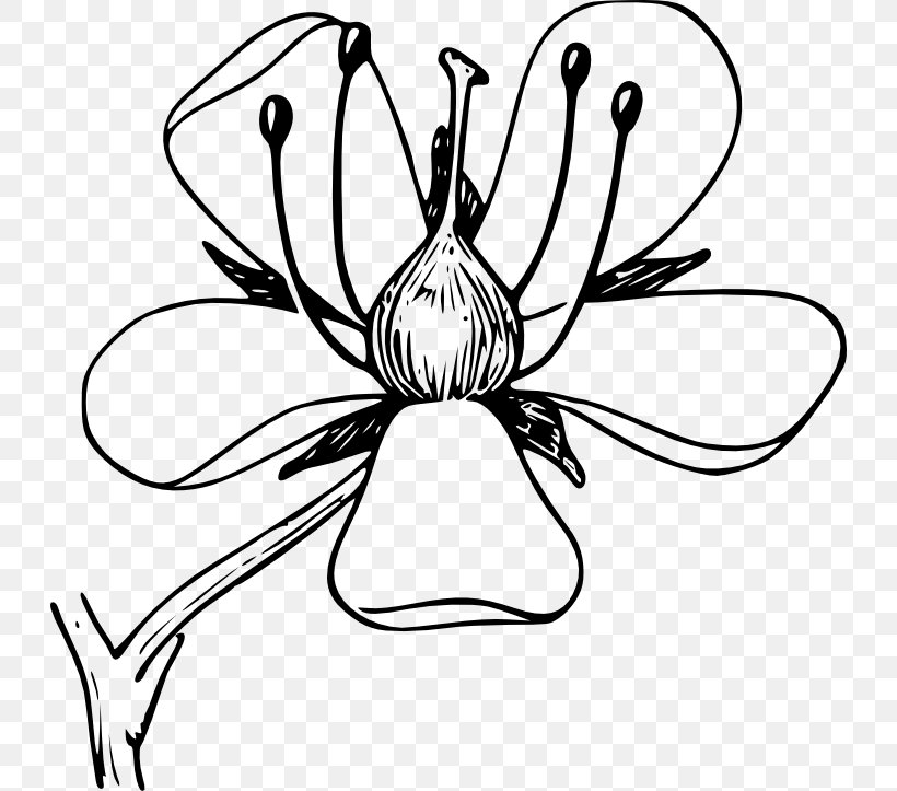 Flower Plant Daffodil Clip Art, PNG, 728x723px, Flower, Artwork, Black And White, Christmas Plants, Daffodil Download Free