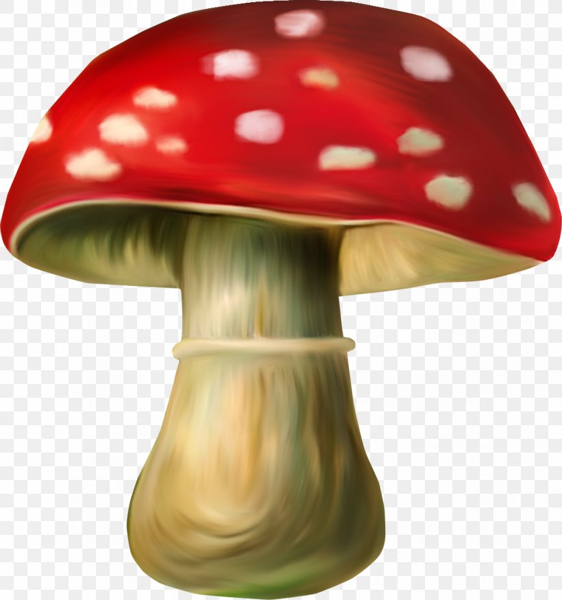 Gnome Mushroom Elf Dwarf Clip Art, PNG, 1018x1087px, Gnome, Dwarf, Elf, Fairy, Garden Gnome Download Free