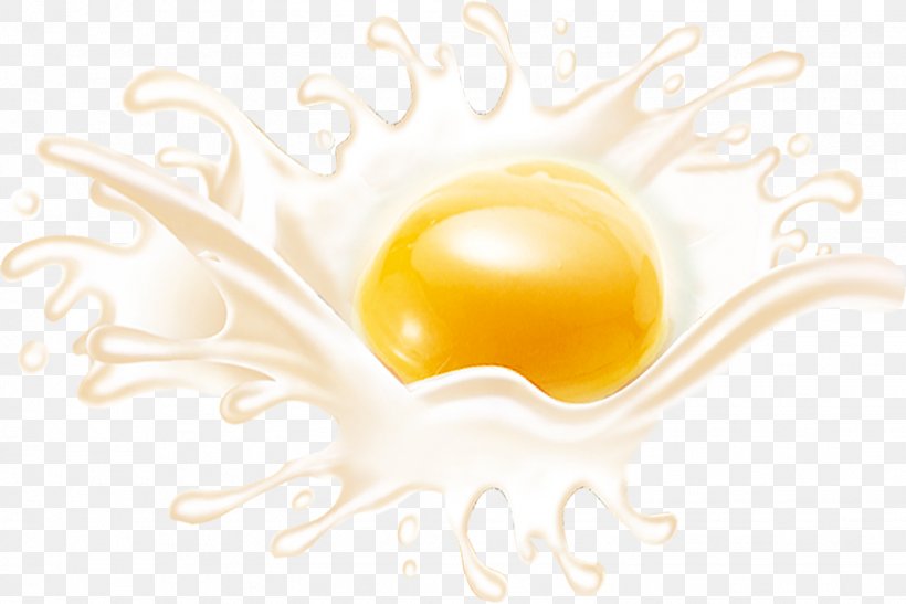 Brand Egg Yellow Wallpaper, PNG, 1528x1020px, Brand, Computer, Egg, Food, Text Download Free
