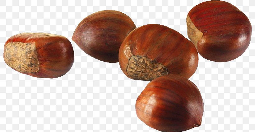 Chestnut Hazelnut Nuts Auglis Autumn, PNG, 800x427px, Chestnut, Acorn, Auglis, Autumn, Berry Download Free