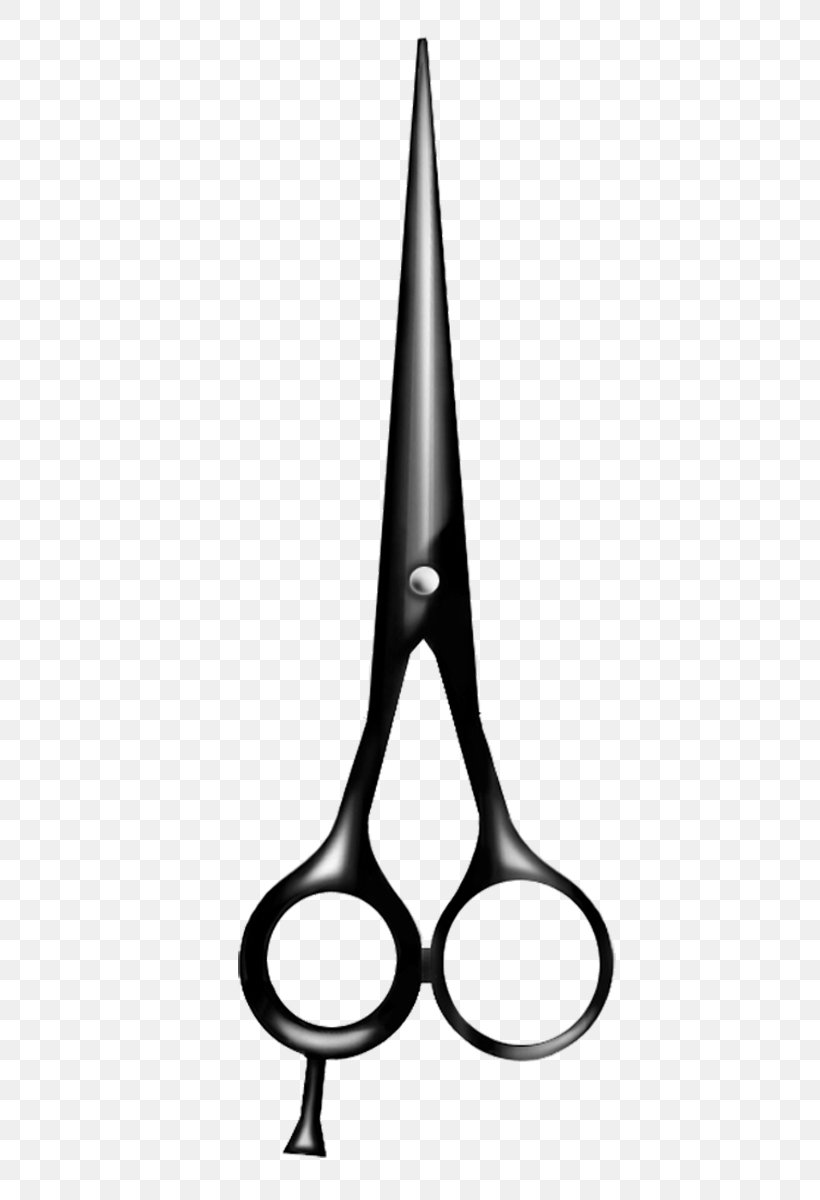 Comb Scissors Hair-cutting Shears Hairdresser, PNG, 800x1200px, Comb, Beauty Parlour, Bobby Pin, Brush, Cutting Hair Download Free
