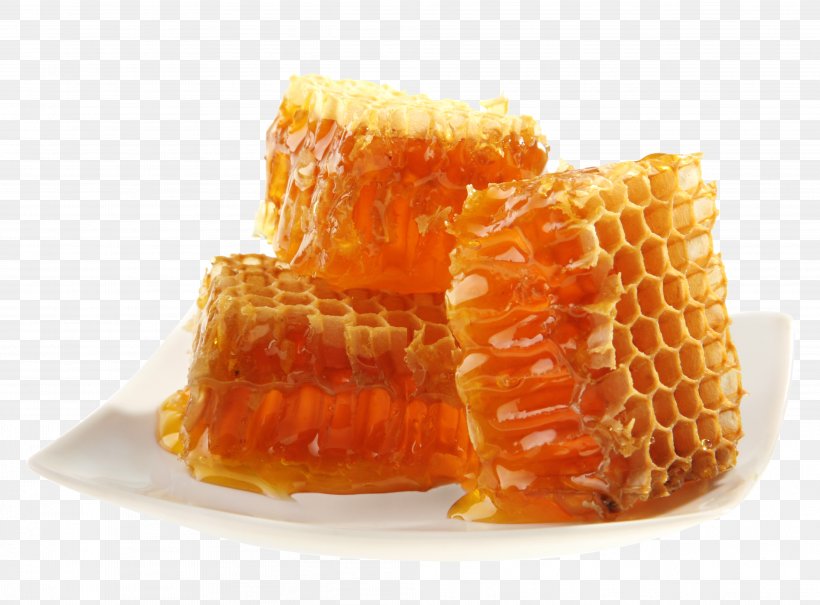 Honey Bee Maya Honey Bee Honeycomb, PNG, 4031x2976px, Bee, Africanized Bee, Bee Pollen, Bee Sting, Beeswax Download Free