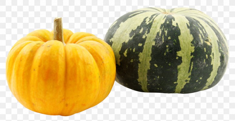 Pumpkin Calabaza Kabocha Winter Squash, PNG, 1764x914px, Pumpkin, Calabaza, Chayote, Commodity, Cucumber Gourd And Melon Family Download Free