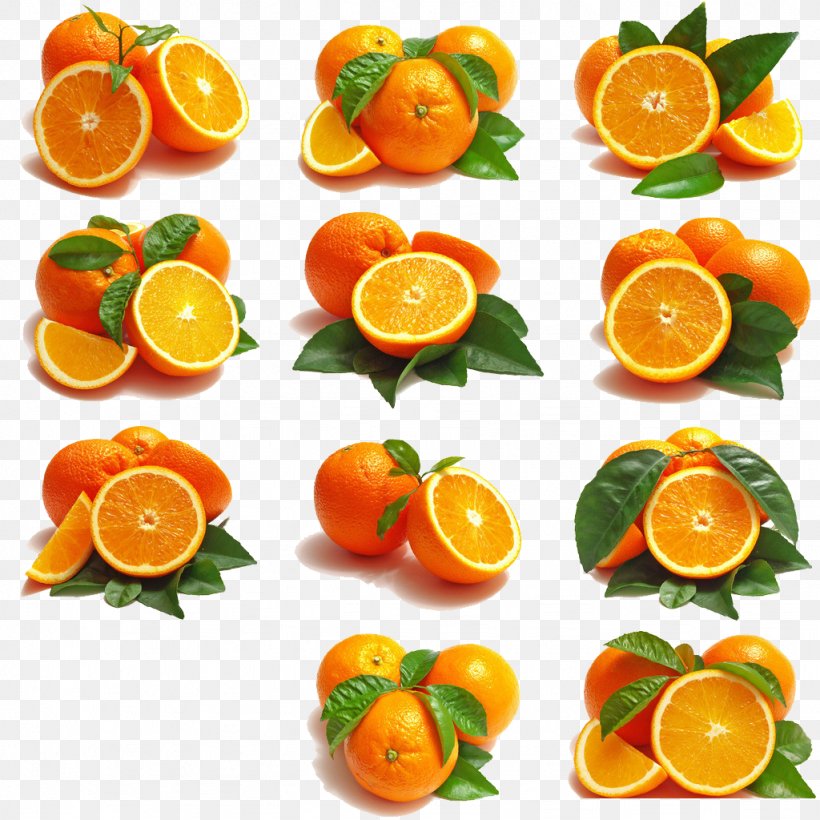 Citrus Xd7 Sinensis Fruit Orange Embroidery Clip Art, PNG, 1024x1024px, Citrus Xd7 Sinensis, Auglis, Bitter Orange, Citric Acid, Citrus Download Free