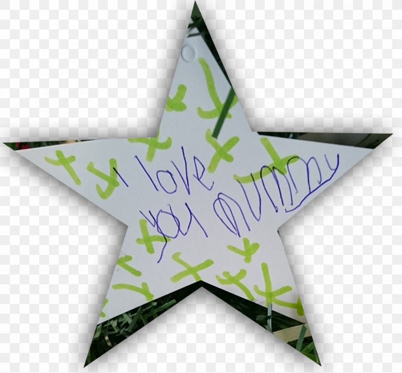 Green Leaf Star, PNG, 1196x1111px, Green, Leaf, Star Download Free