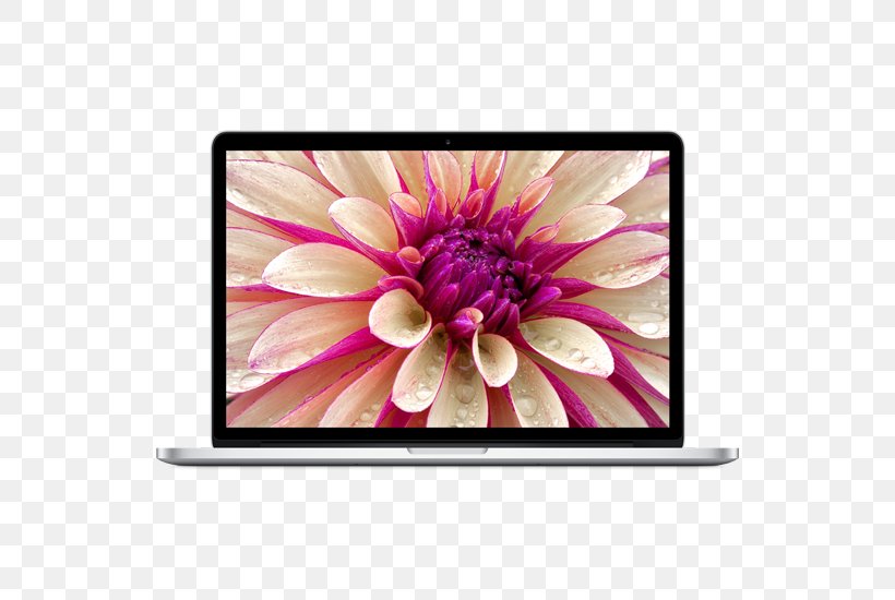 Mac Book Pro MacBook Air Laptop MacBook Pro 13-inch, PNG, 550x550px, Mac Book Pro, Apple, Chrysanths, Dahlia, Daisy Family Download Free