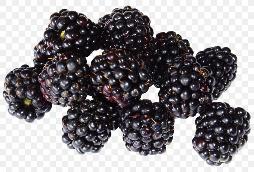 Smoothie Blackberry Fruit Black Raspberry, PNG, 1211x820px, Blackberry, Berry, Blueberry, Boysenberry, Bramble Download Free