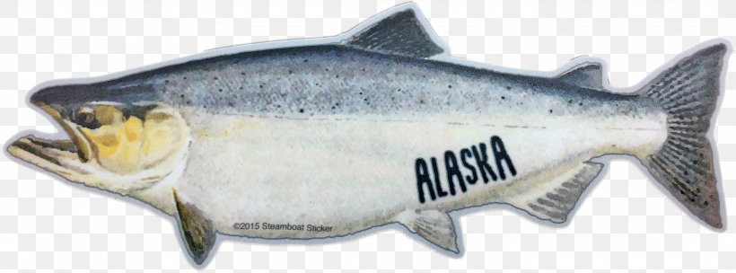 Coho Salmon Norway Oily Fish, PNG, 3004x1116px, Coho Salmon, Animal, Animal Figure, Bony Fish, Coho Download Free
