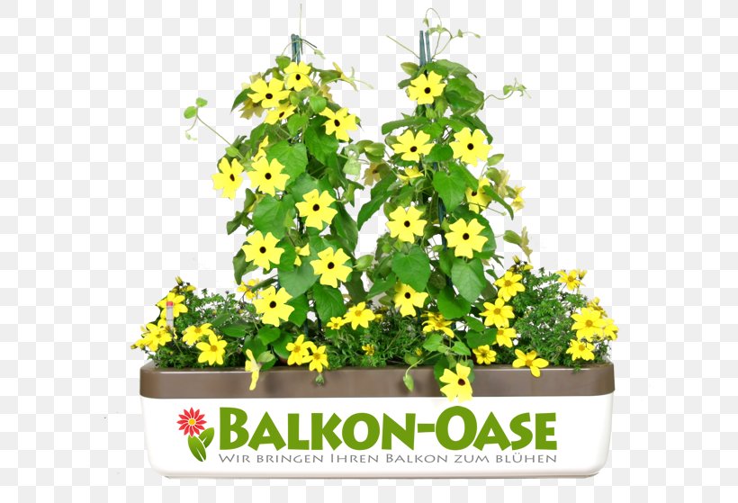 Flowerpot Balcony Furniture Terrace Houseplant, PNG, 650x559px, Flowerpot, Annual Plant, Balcony, Bedroom, Cut Flowers Download Free