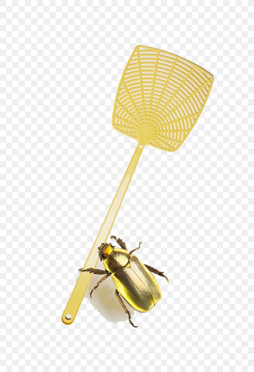 Fly-killing Device, PNG, 800x1200px, Fly, Designer, Flykilling Device, Flyswatter, Material Download Free