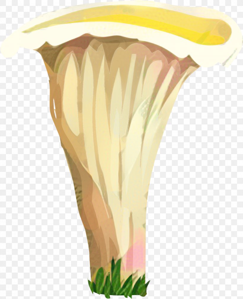 Vase Plant, PNG, 1558x1918px, Vase, Nepenthes, Plant Download Free