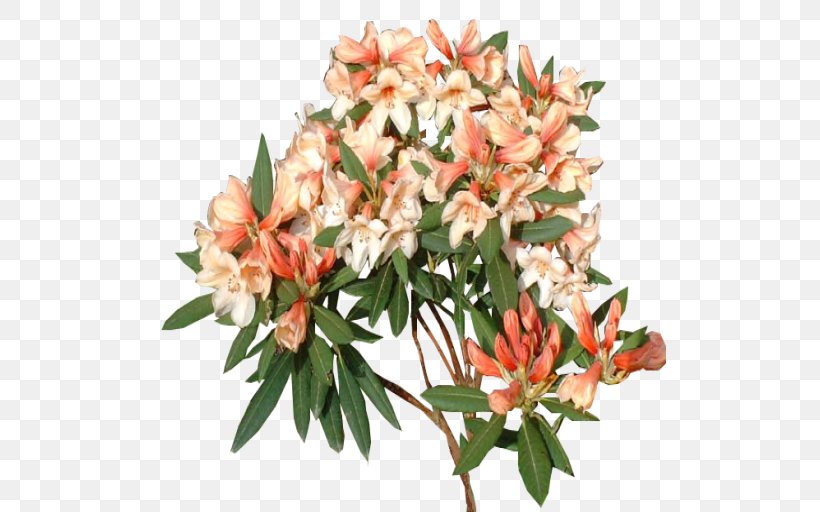 Cut Flowers Rhododendron Plant, PNG, 512x512px, Cut Flowers, Blog, Common Lilac, Deviantart, Floral Design Download Free