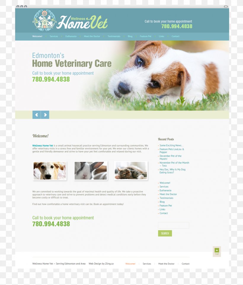 Dog Breed Puppy Web Design, PNG, 1140x1340px, Dog Breed, Advertising, Brand, Breed, Companion Dog Download Free