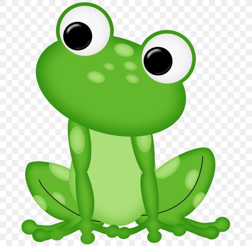 Frog Clip Art, PNG, 689x800px, Frog, Amphibian, Blog, Cartoon, Drawing Download Free