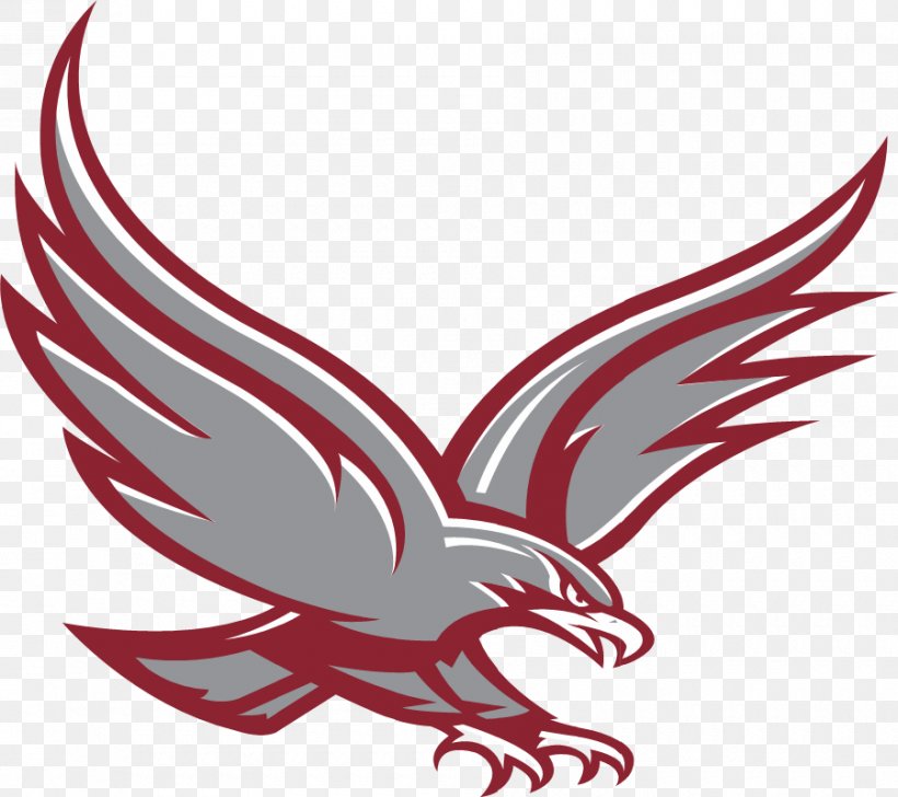 Albertus Magnus College Albertus Magnus Falcons Women's Basketball Albertus Magnus High School Albertus Magnus Falcons Men's Basketball, PNG, 900x800px, Albertus Magnus College, Artwork, Beak, Bird, Chicken Download Free