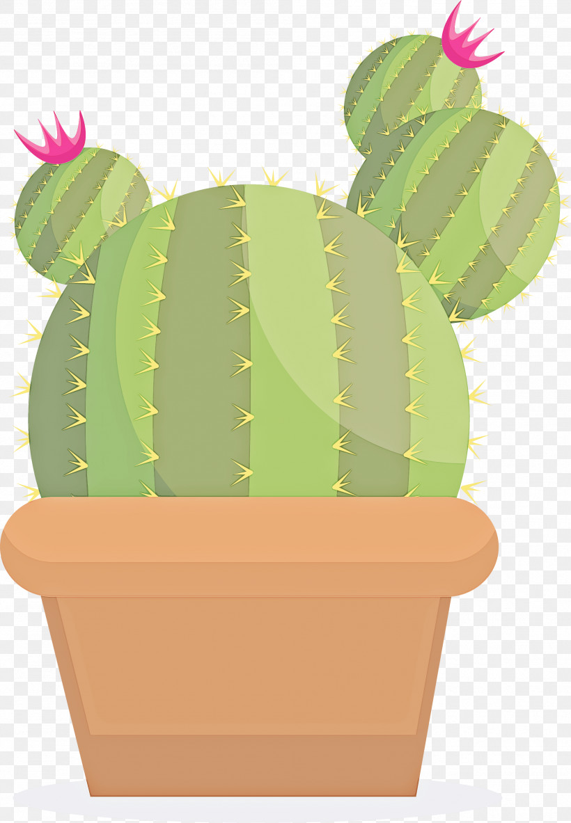 Cactus, PNG, 1999x2886px, Cactus, Barbary Fig, Caryophyllales, Flower, Flowerpot Download Free