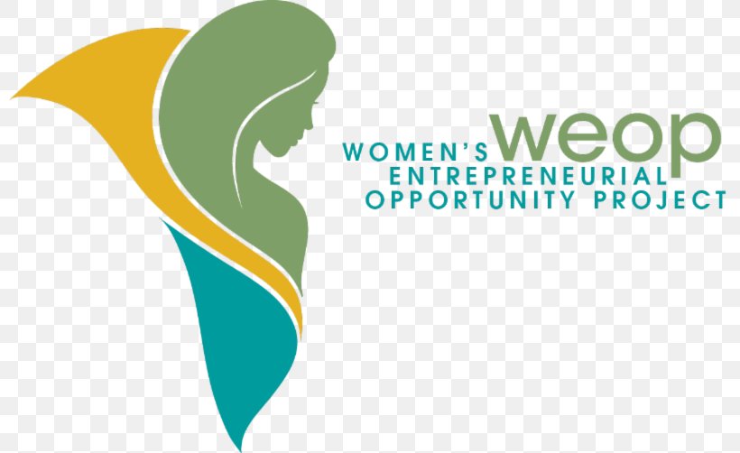 Women's Entrepreneurial Opportunity Project, Inc. Non-profit Organisation Marketing Small Business, PNG, 800x502px, Nonprofit Organisation, Brand, Business, Business Opportunity, Consultant Download Free