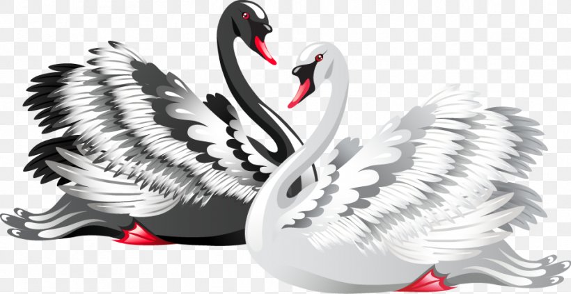 Black Swan Bird Drawing Clip Art, PNG, 963x497px, Black Swan, Beak, Bird, Black And White, Cygnini Download Free