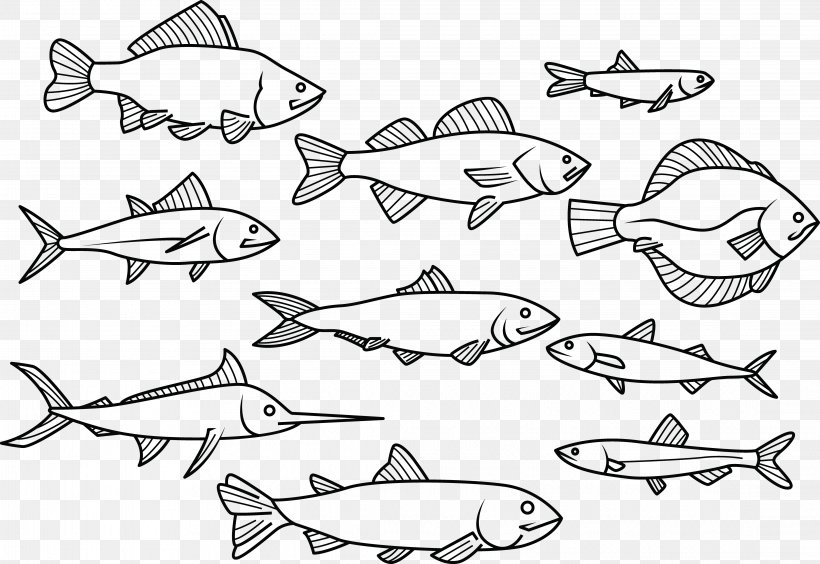 Fish Drawing, PNG, 4452x3063px, Fish, Artwork, Black And White, Drawing, Jaw Download Free