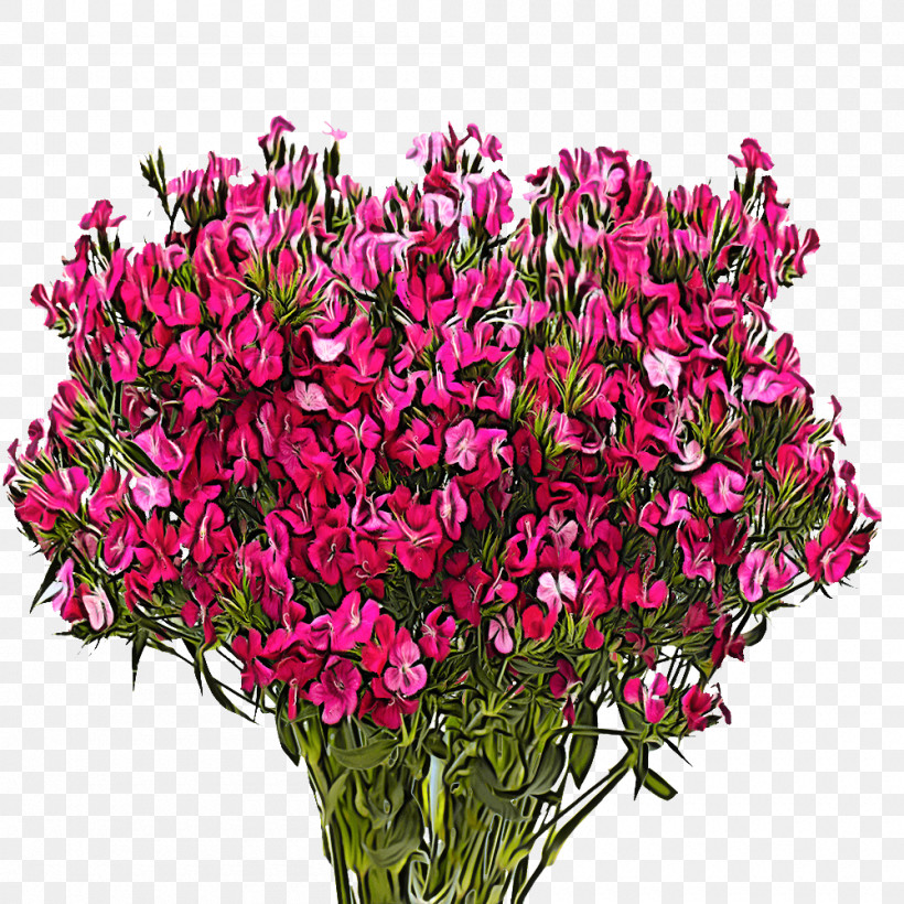 Floral Design, PNG, 1000x1000px, Floral Design, Annual Plant, Biology, Cut Flowers, Flower Download Free