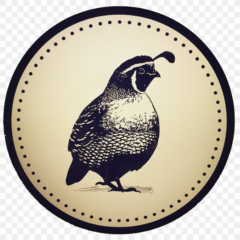 Watsonville Bird Pajaro Valley Food Beak, PNG, 2326x2326px, Watsonville, Beak, Bird, California, Central Coast Download Free