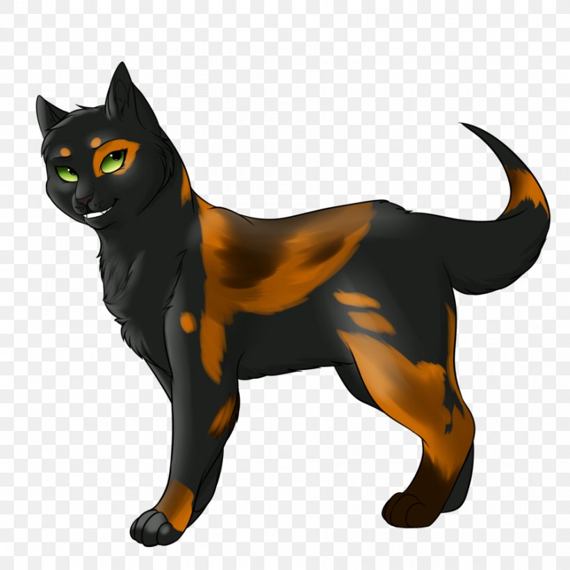 Whiskers Domestic Short-haired Cat Dog Canidae, PNG, 894x894px, Whiskers, Black Cat, Canidae, Carnivoran, Cat Download Free