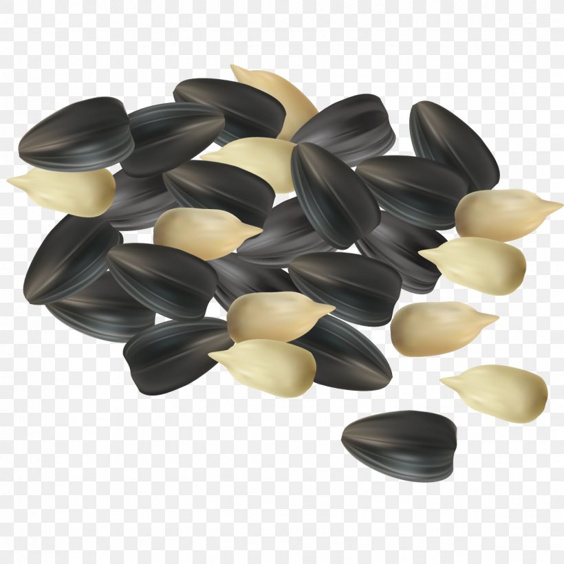 Common Sunflower Sunflower Seed Illustration, PNG, 1276x1276px, Common Sunflower, Food, Photography, Plastic, Royaltyfree Download Free