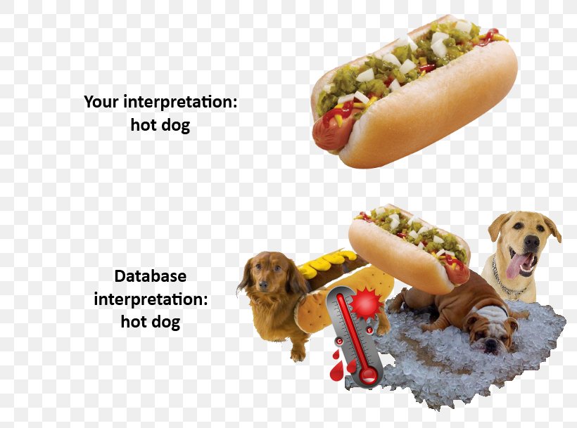 Dog Breed Hot Dog Days Puppy, PNG, 800x609px, Dog Breed, Carnivoran, Database, Database Search Engine, Dog Download Free